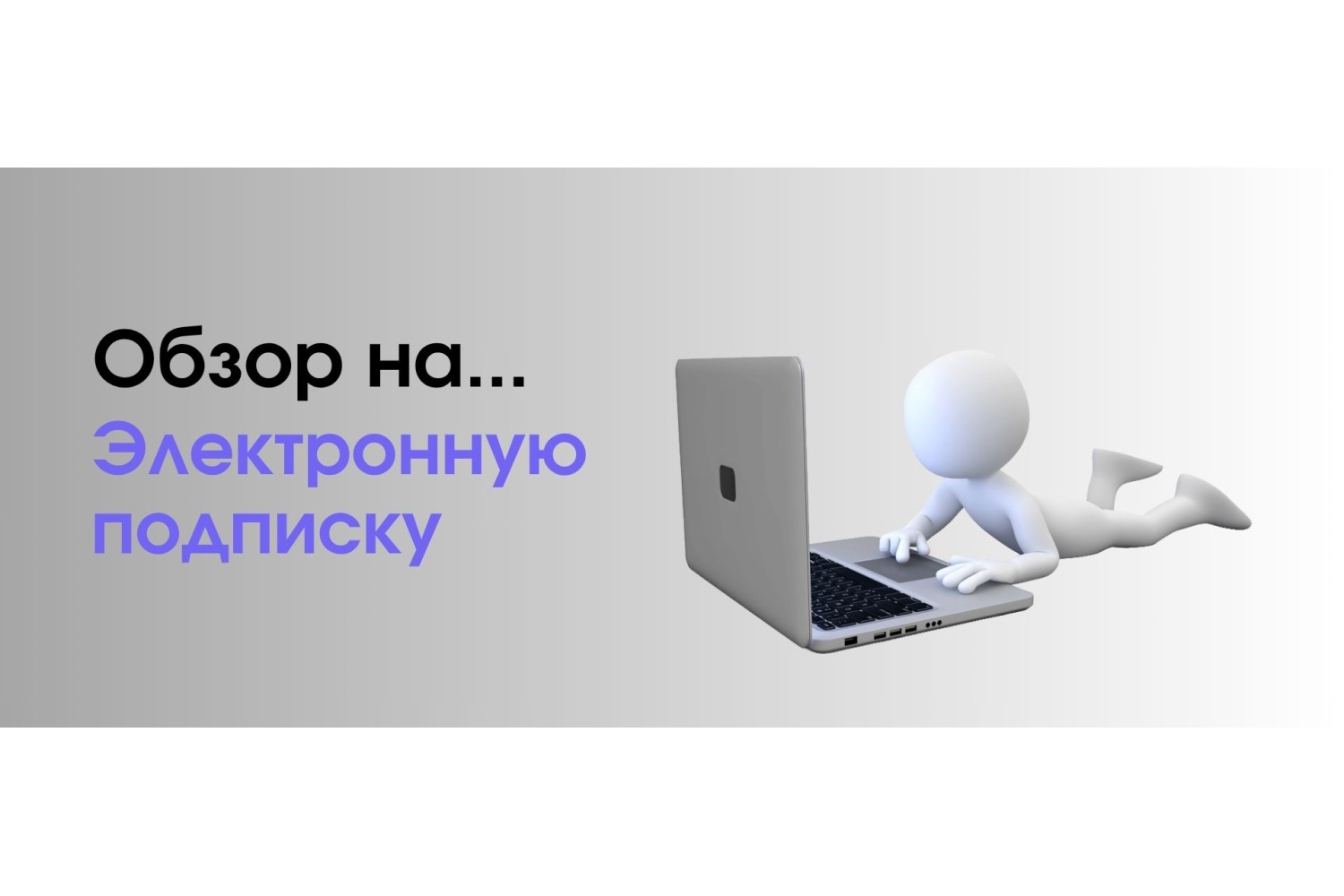 Предмет расследования: "Электронная подписка".
