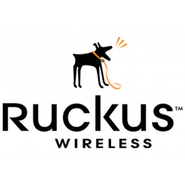 909-0001-ZD12 Лицензия Ruckus Wireless