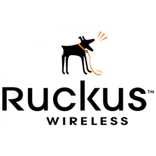 909-0001-ZD12 Лицензия Ruckus Wireless