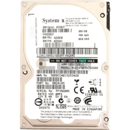 42D0638 Жесткий диск IBM 300GB SAS 10K 2.5
