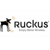 909-0100-ZD00 Лицензия Ruckus Wireless