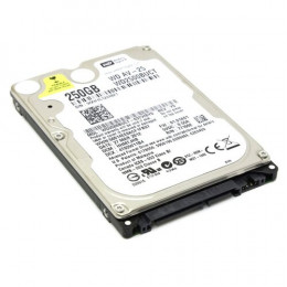 WD2500BUCT Жесткий диск Western Digital 2.5 AV-25 250 Гб SATA